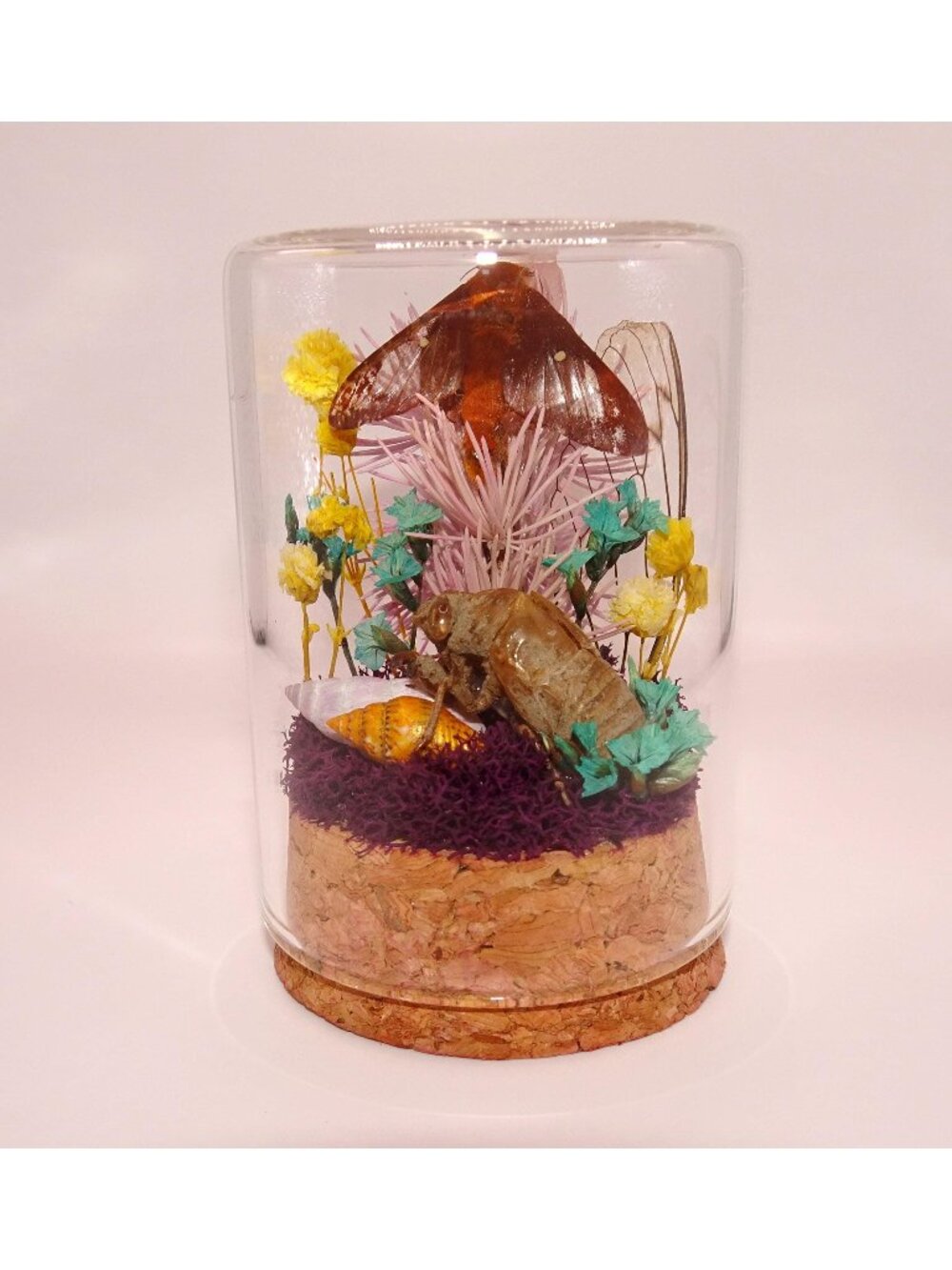 Oakworm Moth Cicada Skin Flowers Oddity Jar insect taxidermy curiosity diorama